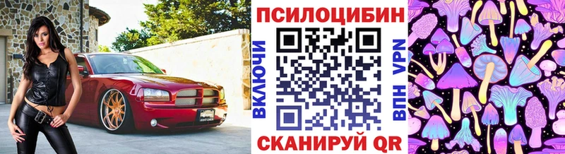 Псилоцибиновые грибы мицелий  наркошоп  Красноперекопск 