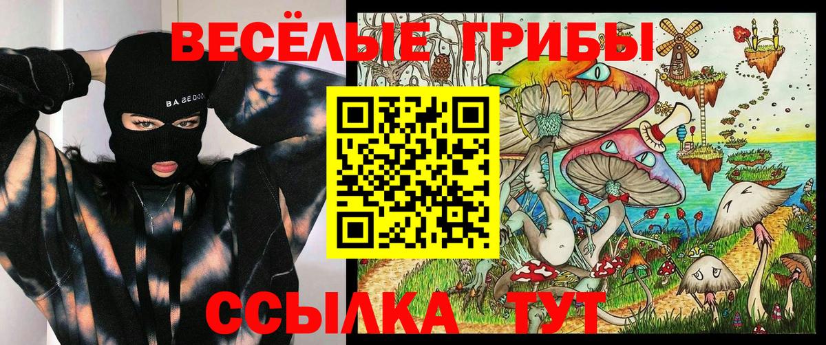Галлюциногенные грибы Psilocybine cubensis  Вход с VPN  Псилоцибиновые грибы Magic Shrooms  Красноперекопск 